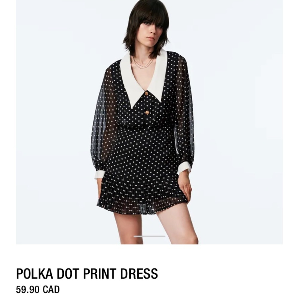 Zara Polka Dot Dress